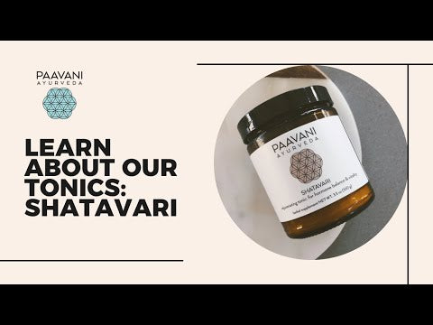 Shatavari | Ayurvedic Adaptogen for Cooling & Hormonal Balance